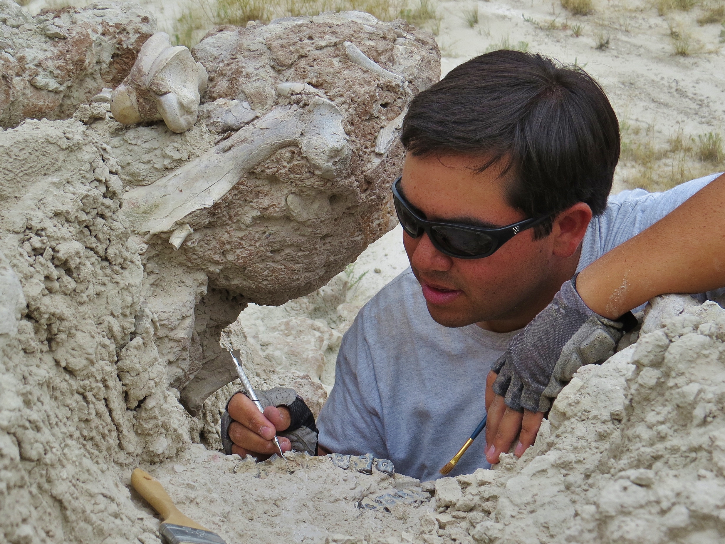 Philip Varela, Field Paleontology, Badlands National Park, South Dakota, 2014