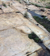 microbial mat