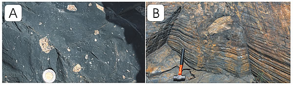 i1052-5173-23-10-4-f02