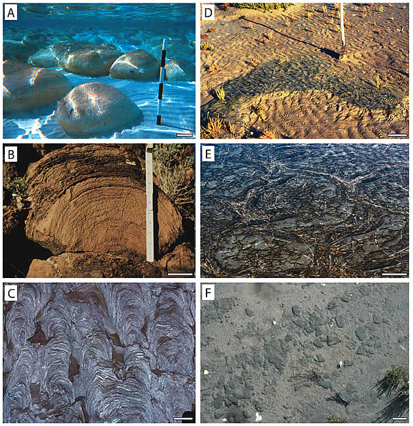 i1052-5173-23-9-4-f01