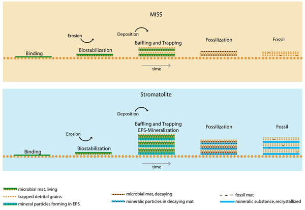 i1052-5173-23-9-4-f02